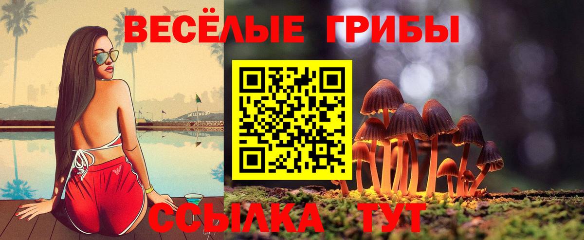 Галлюциногенные грибы Cubensis Всеволожск