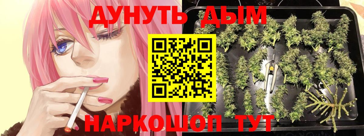 Всеволожск  Конопля тримм  Вход с VPN  Марихуана THC 21%  Бошки марихуана Bruce Banner 